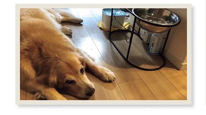 『まめきちまめこニートの日常 4〜5』 mame6_6.jpeg