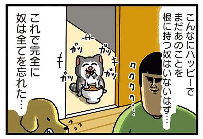 「奴は完全に忘れた」はずが...猫のおやつへの執着が凄すぎて、うっ／まめきちまめこニートの日常 こまちとタビ5