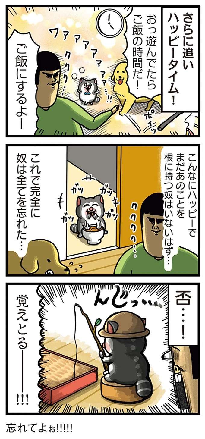 『まめきちまめこニートの日常 4〜5』 mame8_3.jpeg