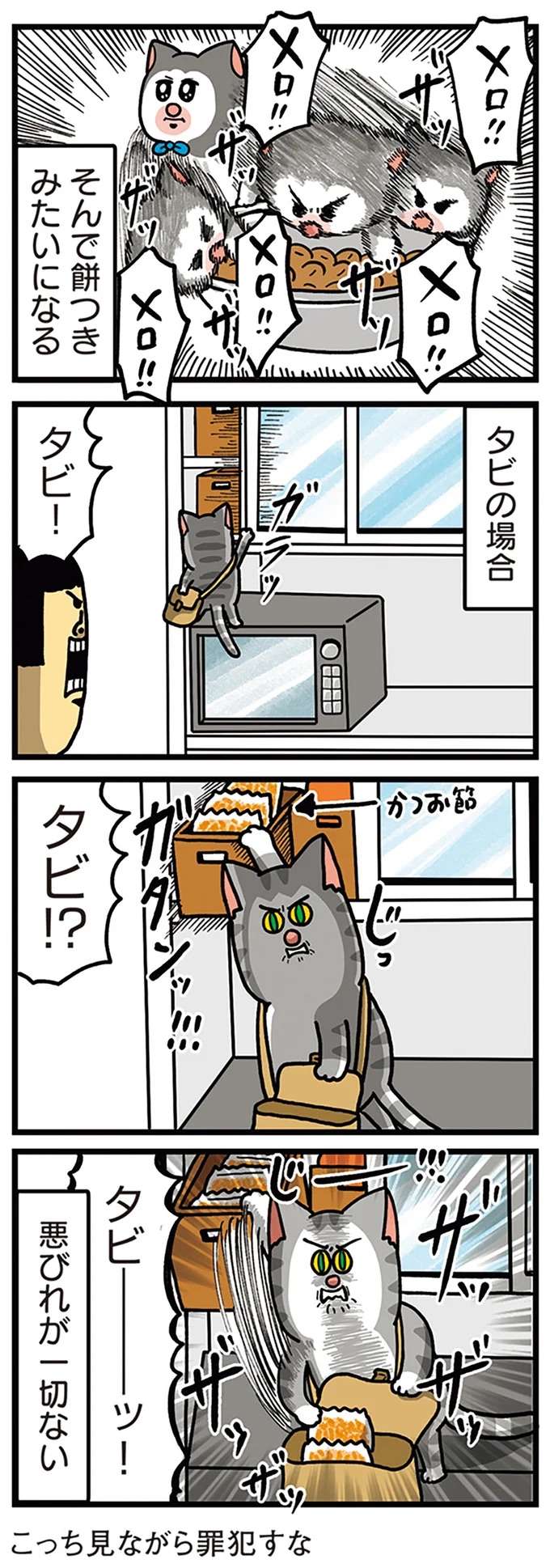 『まめきちまめこニートの日常 4〜5』 mame9_2.jpeg