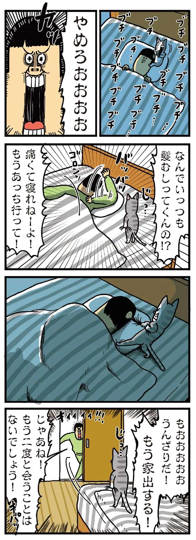 『まめきちまめこニートの日常 1〜3』 mameko12_1.jpeg