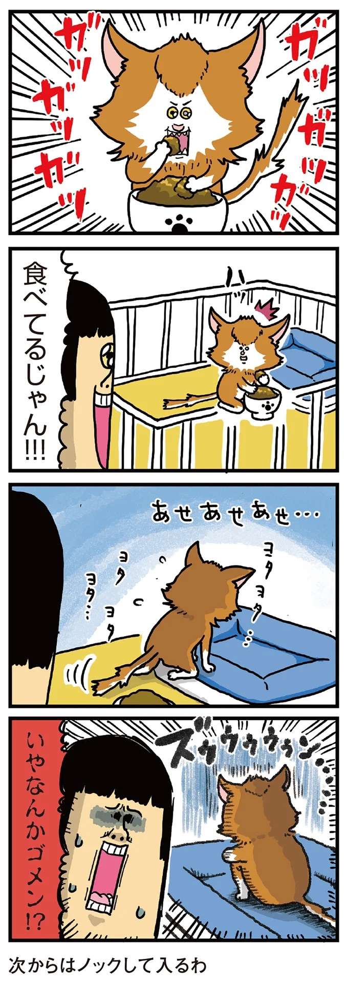 『まめきちまめこニートの日常 1〜3』 mameko15_3.jpeg