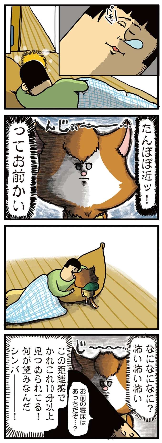 『まめきちまめこニートの日常 1〜3』 mameko18_2.jpeg