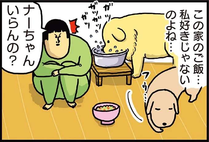 「食べていいやつですか？」愛犬たちのご飯をかけた心理戦／まめきちまめこニートの日常 1