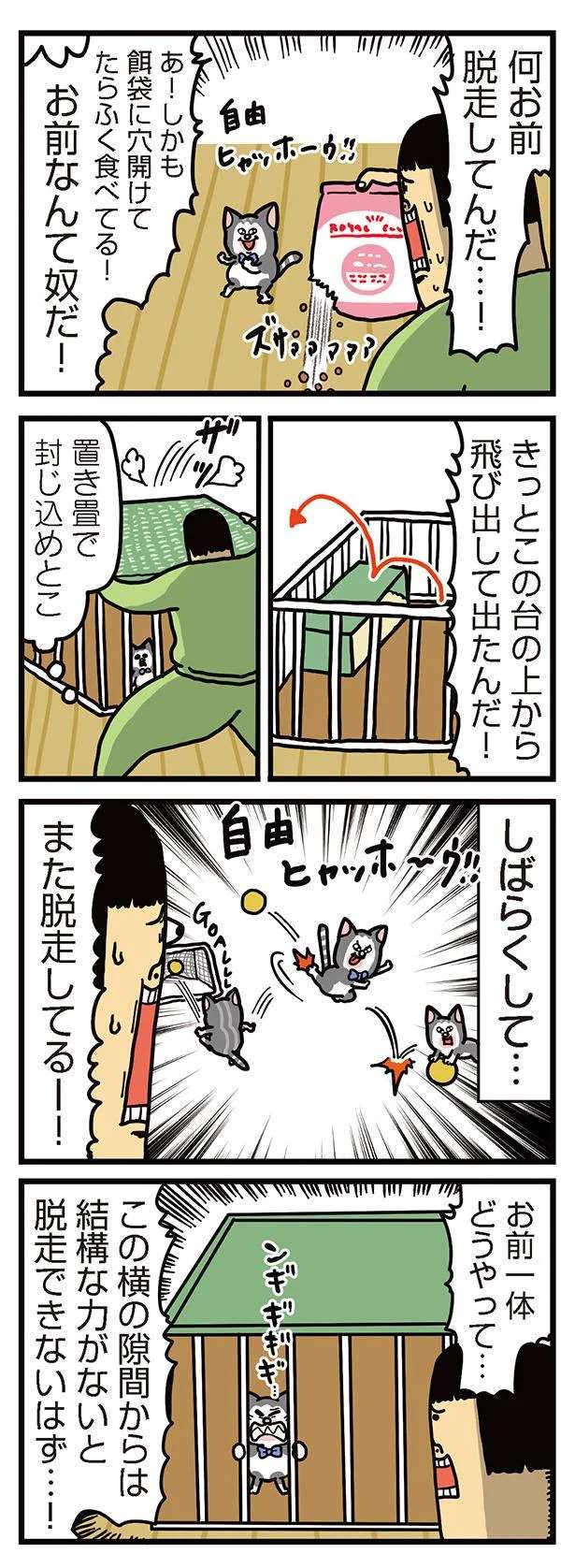 『まめきちまめこニートの日常 1〜3』 mameko21_4.jpeg