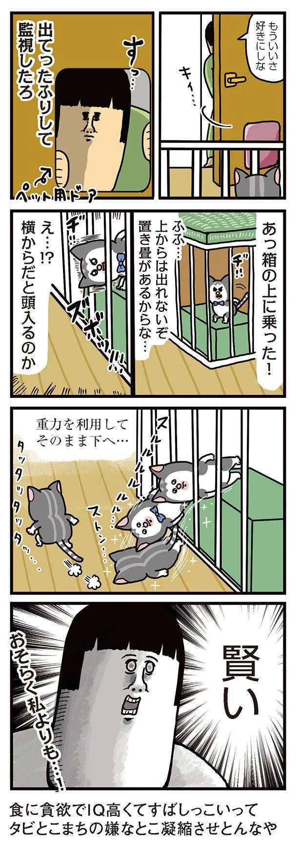 『まめきちまめこニートの日常 1〜3』 mameko21_5.jpeg