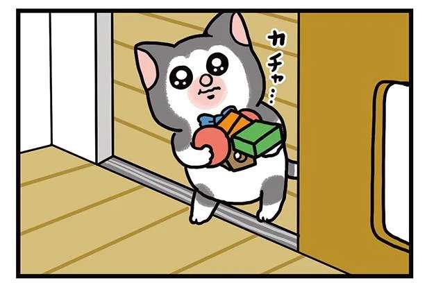 ああ、優しい。犬猫をもふりたい飼い主の欲求に.../まめきちまめこニートの日常 3