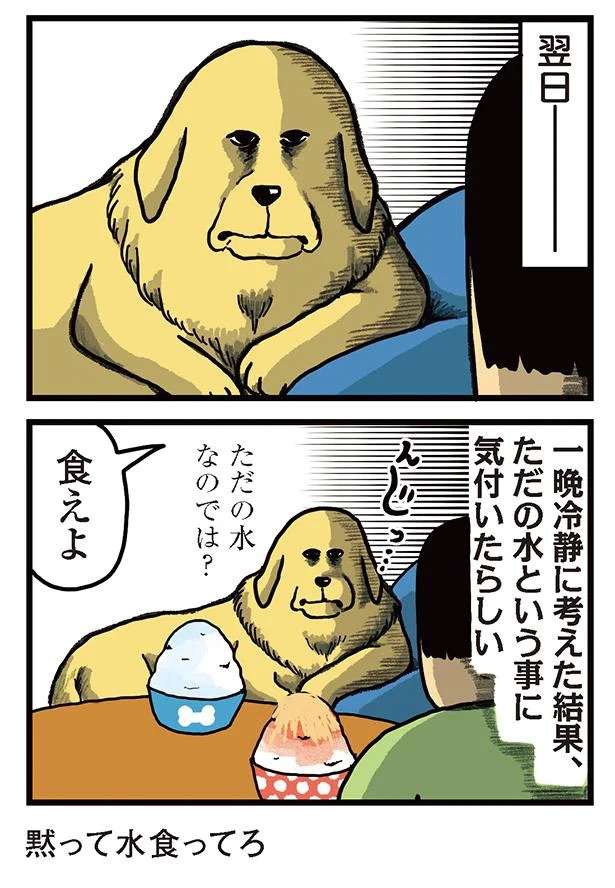 『まめきちまめこニートの日常 1〜3』 mameko25_3.jpeg