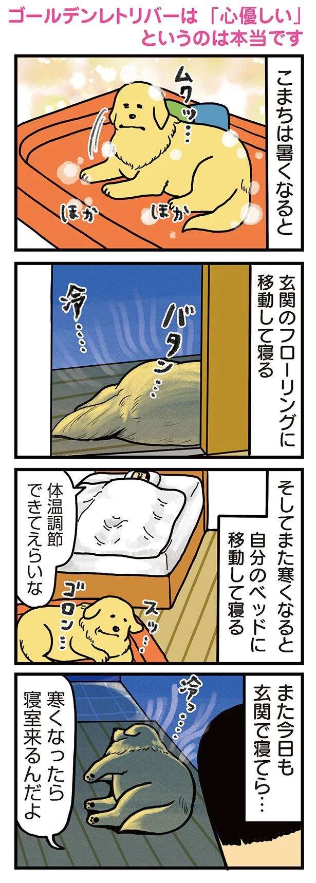 『まめきちまめこニートの日常 1〜3』 mameko26_1.jpeg