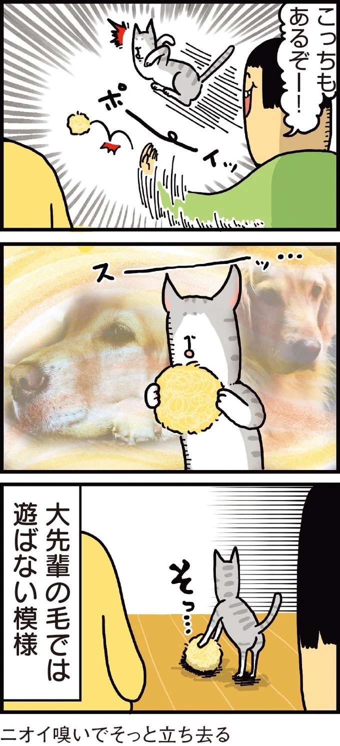 『まめきちまめこニートの日常 1〜3』 mameko7_3.jpeg