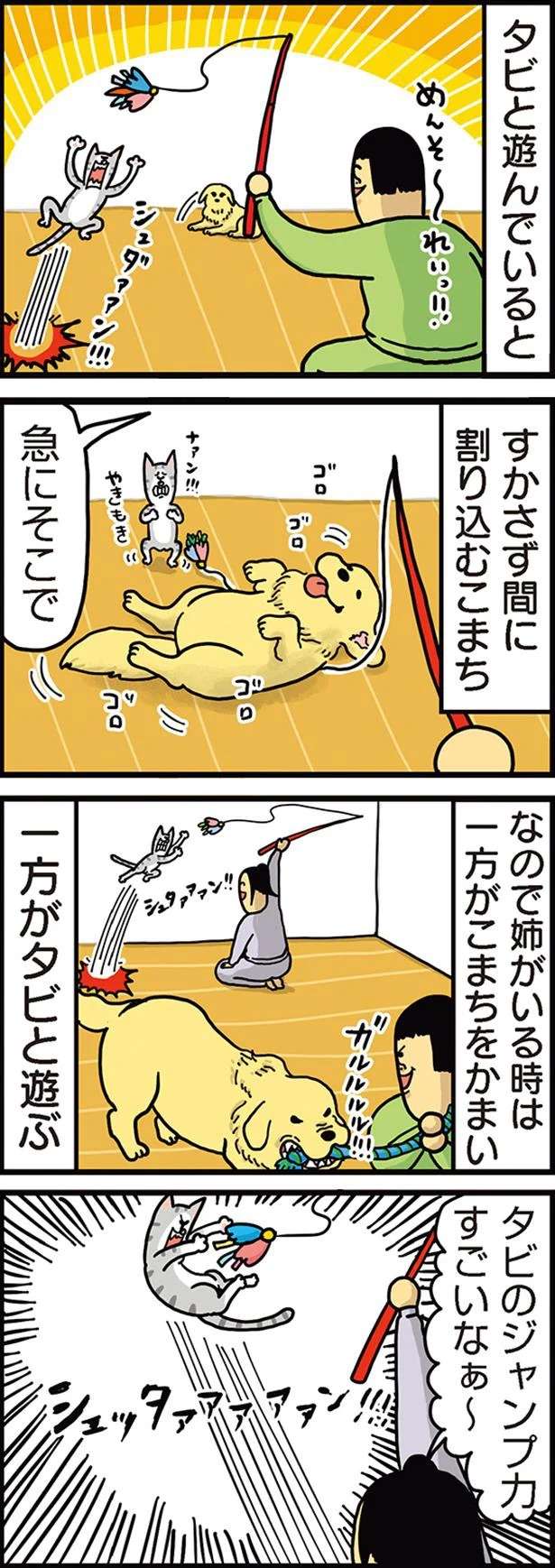 『まめきちまめこニートの日常 1〜3』 mameko9_1.jpeg