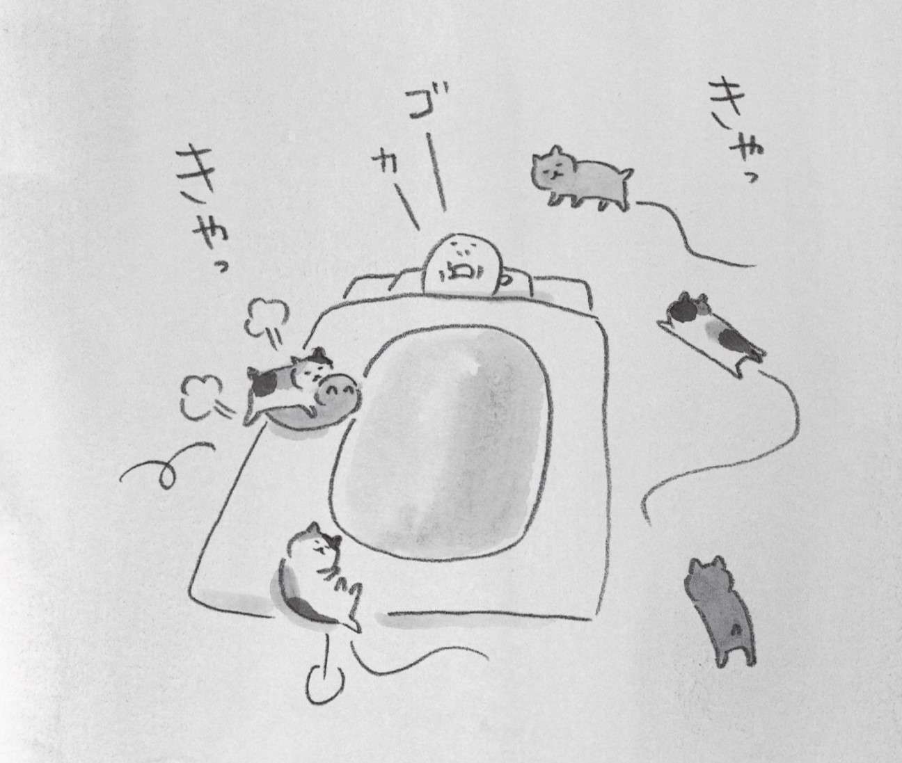 夜中に寝床を出た2匹の子猫。 いびきをかいて寝るおじいちゃんの周りにやってきて...／まめねこ
