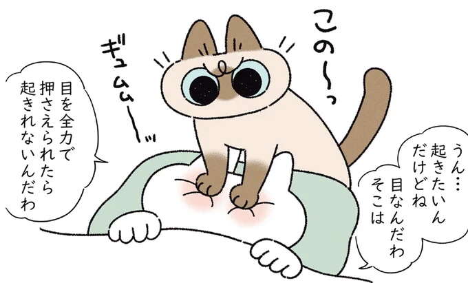 気持ちはわかるけど、これでは起きられない...愛猫の朝の日課/ますます!!!!!! シャム猫あずきさんは世界の中心