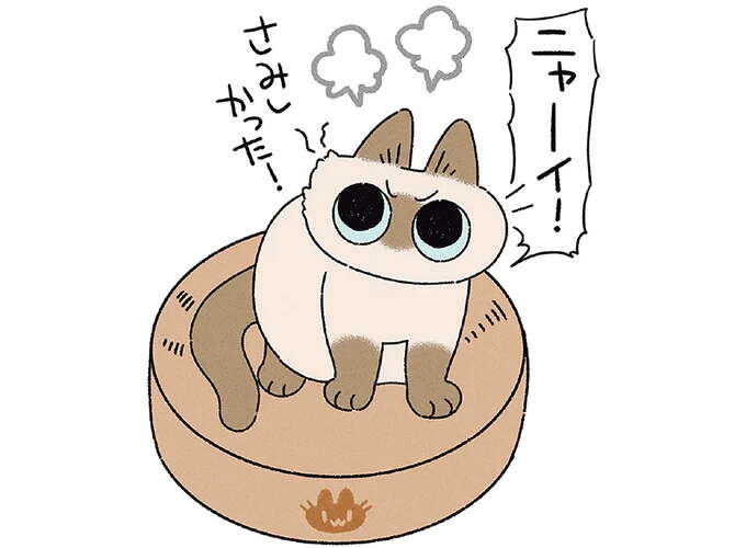 買い物は愛猫が寝ている間にこっそり。帰宅して声をかけると!?／ますます!!!!!! シャム猫あずきさんは世界の中心