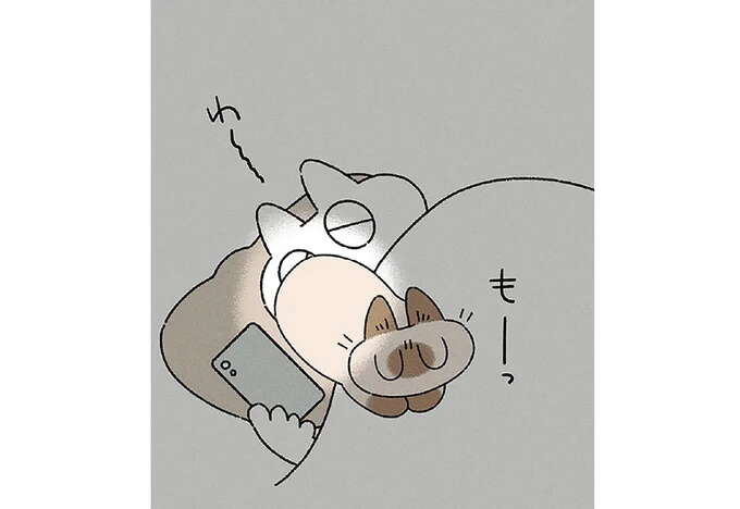 寝る前にスマホを見ていたら、愛猫がやってきて...／ますます!!!!!! シャム猫あずきさんは世界の中心