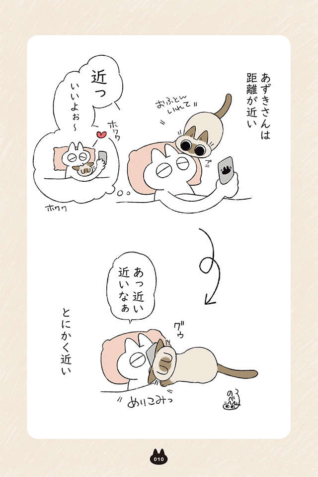 「ハアアア～」って猫がため息？ 感情表現が高度すぎる／もっと!! シャム猫あずきさん motto_p10.jpg