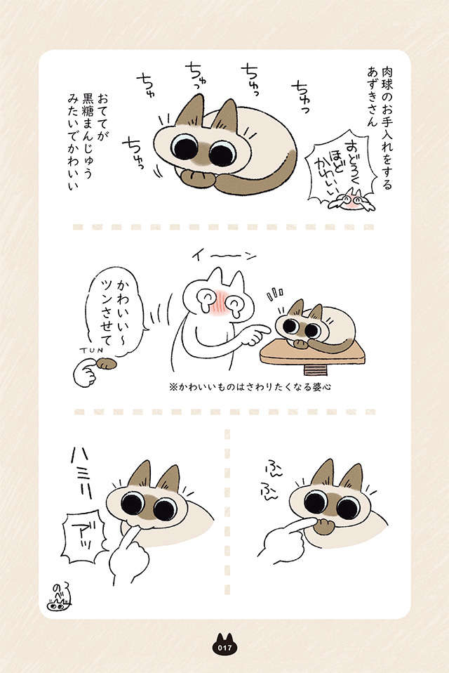 肉球のお手入れをする愛猫がおどろくほどかわいい！ そのおててはまるで...／もっと!! シャム猫あずきさん motto_p17.jpg