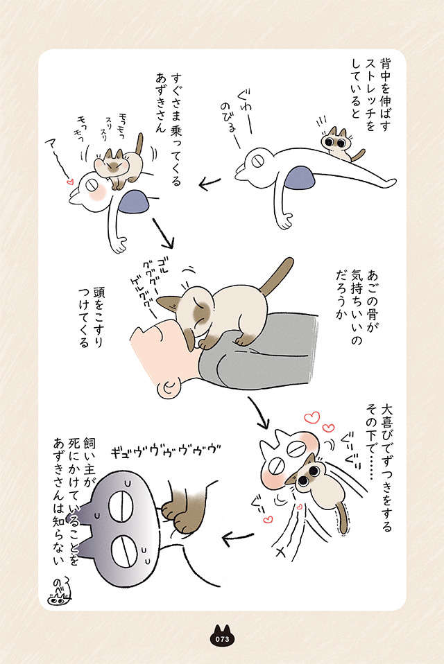 帰宅したら熱烈歓迎してくれるうちの猫。でも遅くなったときは...！／もっと!! シャム猫あずきさん motto_p73.jpg