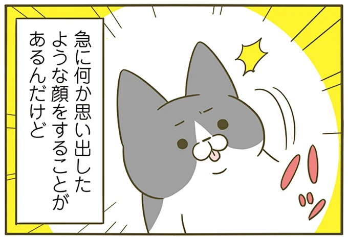 愛猫が毛づくろい中、急にハッ！ どうしたかと思ったら...／うちの猫がまた変なことしてる。4