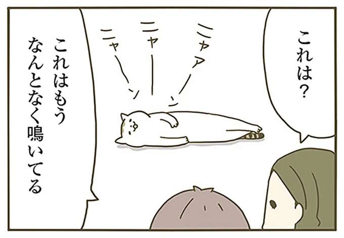 「うるさいよ」怒られた猫。猫なりの善処が...かわいい!/うちの猫がまた変なことしてる。