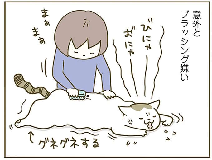 ブラッシングが好きな猫と嫌いな猫。2匹に表れる毛艶の格差／うちの猫がまた変なことしてる。