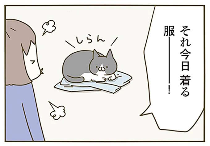 「しらん」という顔で、飼い主の服の上に寝転ぶ猫。飼い主はどいてもらおうとするが...ああ／うちの猫がまた変なことしてる。