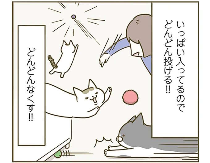 猫たちがよく遊ぶポンポン。どんどんなくすけれど...我が家のいずこへ？／うちの猫がまた変なことしてる。