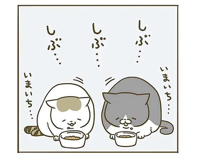 猫が「好きじゃないエサ」を出された場合。少しだけ食べて撤退するけれど...／うちの猫がまた変なことしてる。