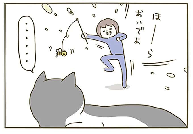 飼い主が全力で誘っても無視。何人たりとも邪魔できない愛猫の日向ぼっこ／うちの猫がまた変なことしてる。