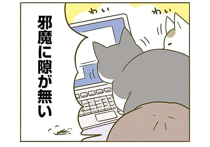 「構え！」激化する猫のアピール。対策の結果は...ああ／うちの猫がまた変なことしてる。2