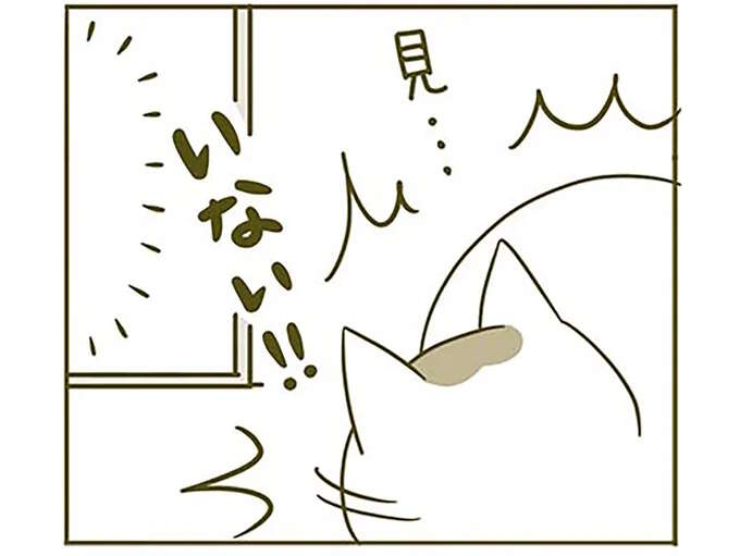 食べる様子を見ていてほしい猫。飼い主がそっといなくなると...!?／うちの猫がまた変なことしてる。2