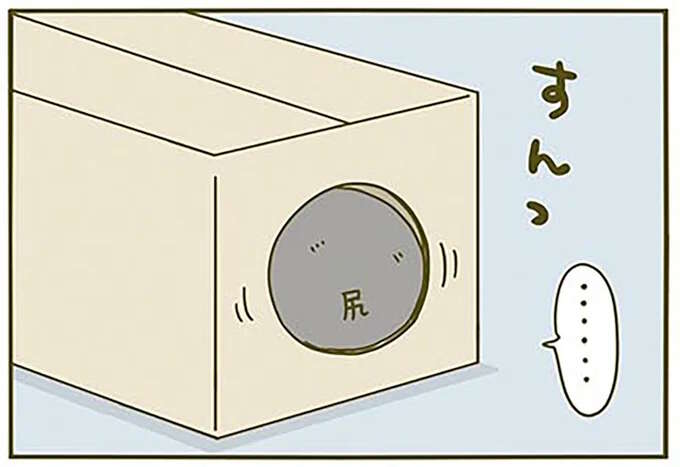 「運命の出会い」をした猫。ごはんも食べずに...／うちの猫がまた変なことしてる。2