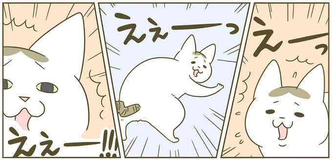 わざとらしい猫。「いま初めて知りました」みたいな顔をするけど...！／うちの猫がまた変なことしてる。4