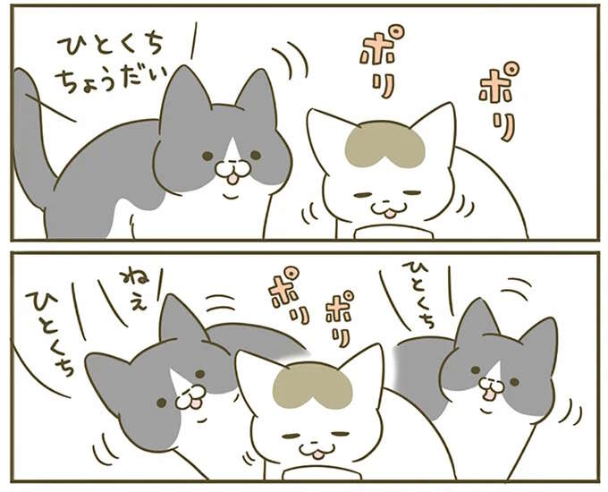 「近い近い」猫同士のごはんの奪い合い。一緒に住んで4年もたつと...／うちの猫がまた変なことしてる。4