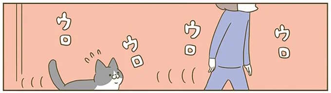 飼い主について歩く猫。このまま運動させようとウロウロした結果...え？／うちの猫がまた変なことしてる。5