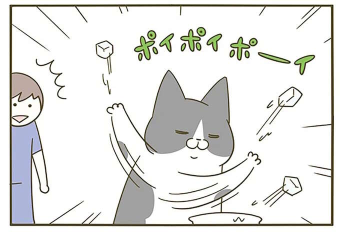 愛だったのに...猫への気づかいが裏目に。そんな邪魔だった？／うちの猫がまた変なことしてる。5
