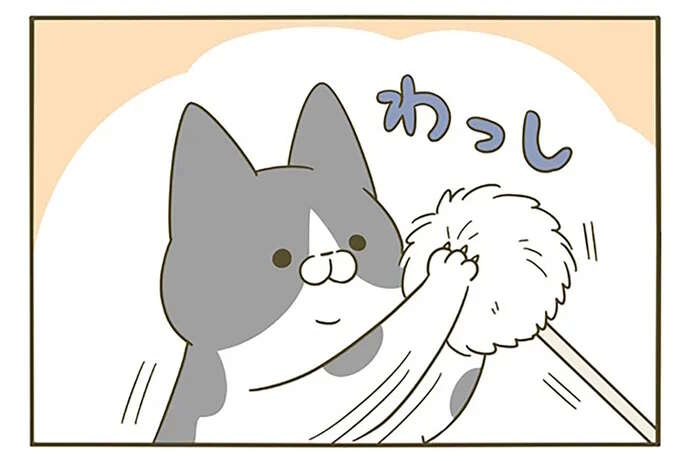 「葛藤する猫」。新しいおもちゃを見た愛猫が向かった先は...／うちの猫がまた変なことしてる。5