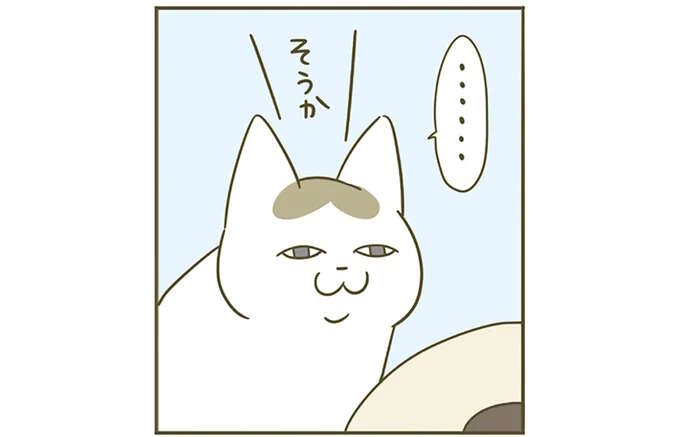 猫が毎日遊んでたお気に入りおもちゃが壊れた！ 反応が意外で...／うちの猫がまた変なことしてる。5