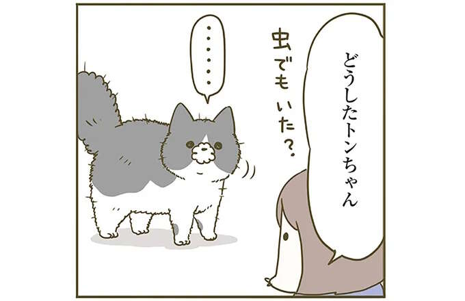 「容赦ない猫」。ぎっくり腰になった夫に猫が...⁉／うちの猫がまた変なことしてる。6