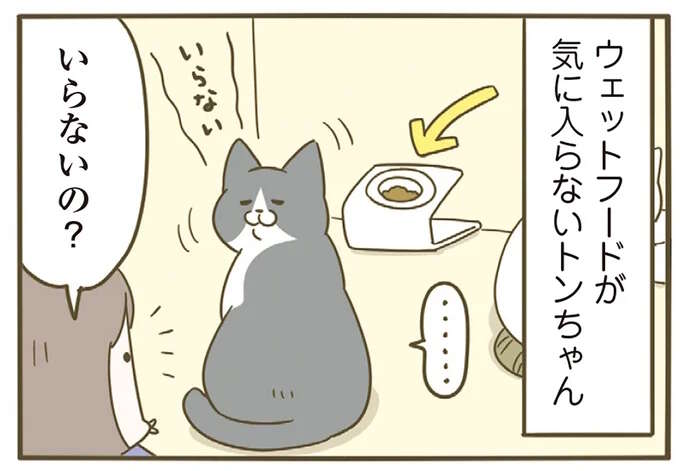出された食事が気に入らない先輩猫。それを後輩猫たちにあげると...えっ？／うちの猫がまた変なことしてる。7