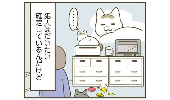 猫がする「複雑な表情」。物を壊した、飼い主に疑われている...そんな時は／うちの猫がまた変なことしてる。8