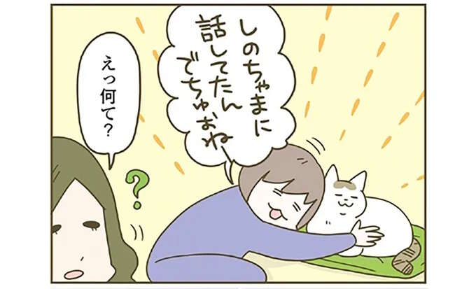 「えっ何て？」「猫に言ったの」飼い猫と会話すると人間が混乱!?／うちの猫がまた変なことしてる。8