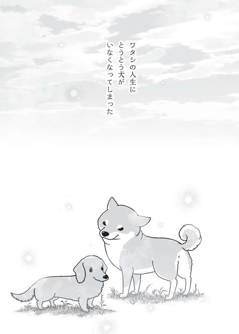 『何度でも言うね、大好きだよ 愛犬グミと銀次郎と過ごした日々』 mydog-P148.jpg