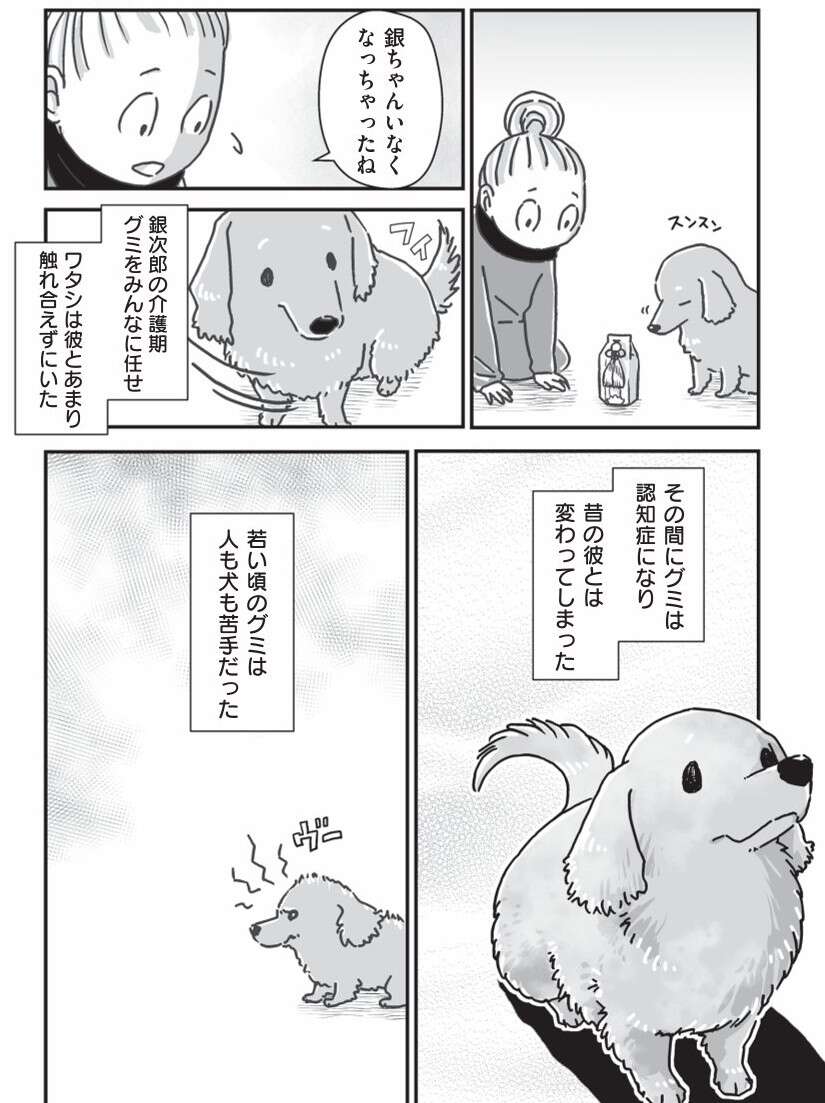 『何度でも言うね、大好きだよ 愛犬グミと銀次郎と過ごした日々』 mydog-P151.jpg