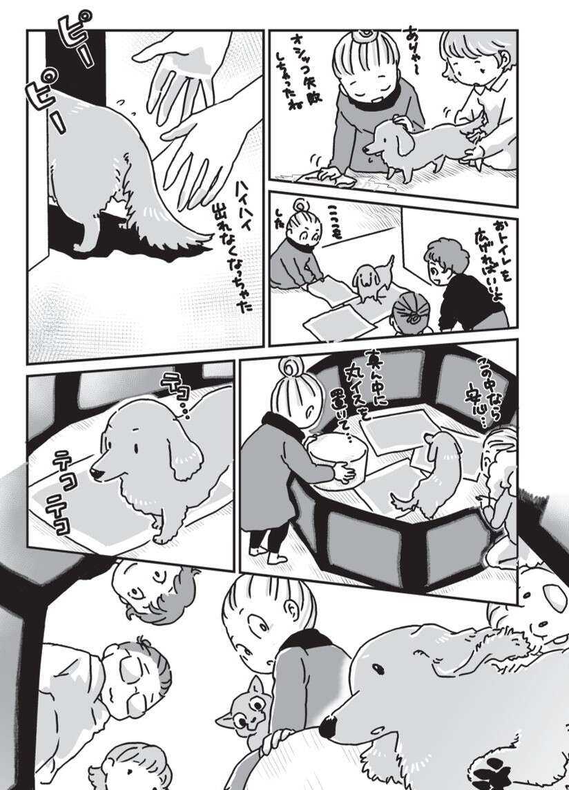 『何度でも言うね、大好きだよ 愛犬グミと銀次郎と過ごした日々』 mydog-P153.jpg