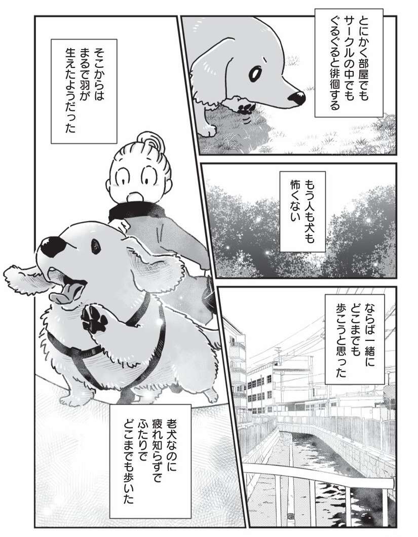 『何度でも言うね、大好きだよ 愛犬グミと銀次郎と過ごした日々』 mydog-P154.jpg