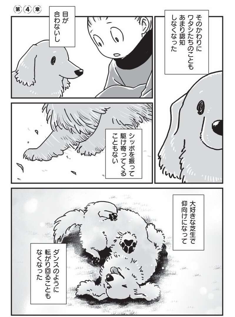 『何度でも言うね、大好きだよ 愛犬グミと銀次郎と過ごした日々』 mydog-P155.jpg