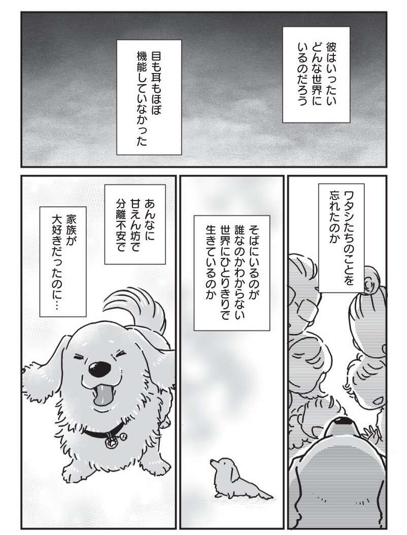 『何度でも言うね、大好きだよ 愛犬グミと銀次郎と過ごした日々』 mydog-P156.jpg