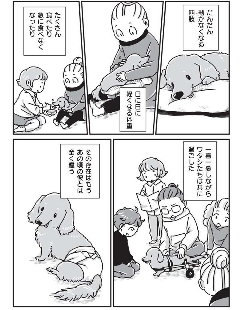 『何度でも言うね、大好きだよ 愛犬グミと銀次郎と過ごした日々』 mydog-P157.jpg