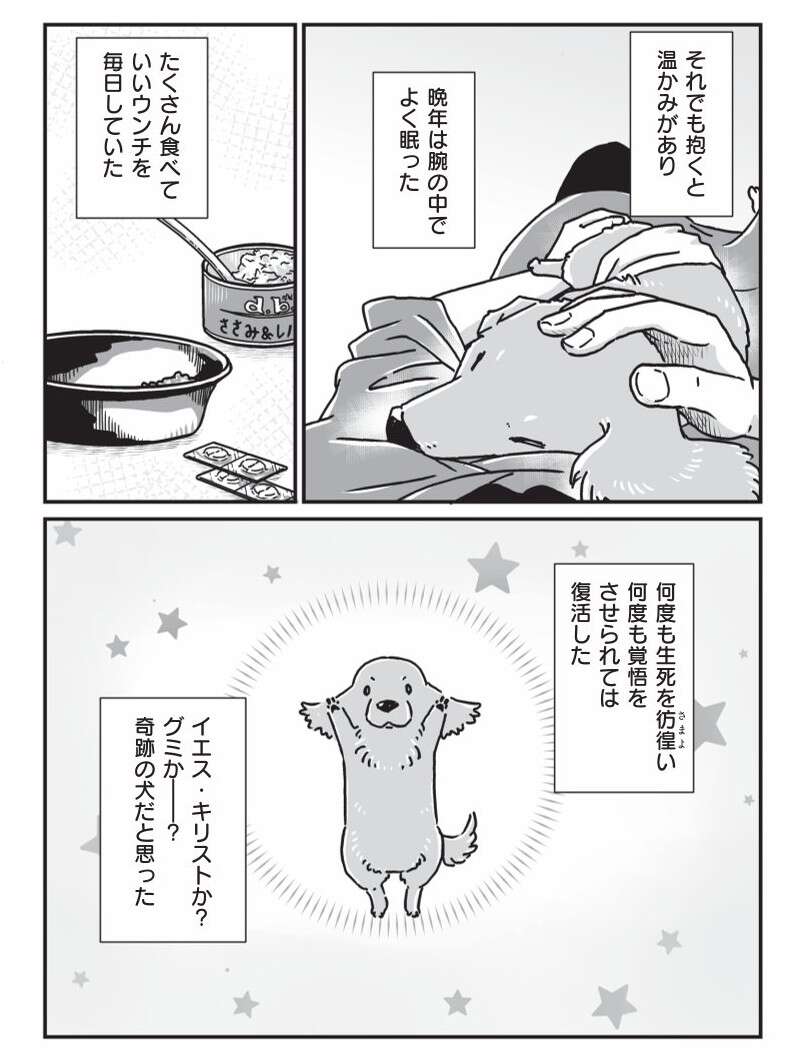 『何度でも言うね、大好きだよ 愛犬グミと銀次郎と過ごした日々』 mydog-P158.jpg